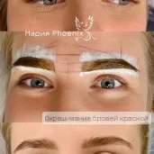 салон бровей и ресниц phoenix изображение 8 на проекте moedegunino.ru