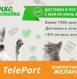 автоматизированный пункт выдачи teleport изображение 2 на проекте moedegunino.ru