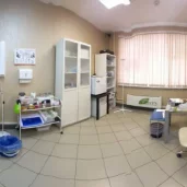 ветеринарная клиника здоровый хвост изображение 5 на проекте moedegunino.ru
