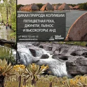 туристическое агентство тайный меридиан изображение 6 на проекте moedegunino.ru