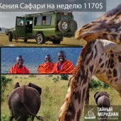 туристическое агентство тайный меридиан изображение 3 на проекте moedegunino.ru