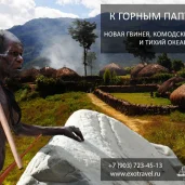 туристическое агентство тайный меридиан изображение 1 на проекте moedegunino.ru