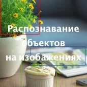 it-компания pawlin изображение 1 на проекте moedegunino.ru