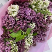 гипермаркет цветы москвы изображение 5 на проекте moedegunino.ru