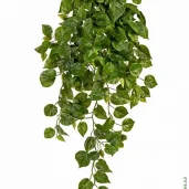 компания herbs & flowers изображение 3 на проекте moedegunino.ru