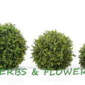 склад herbs&flowers изображение 5 на проекте moedegunino.ru